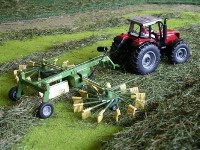 Thumbs/tn_witomo 3 Gras in Schwade legen.jpg